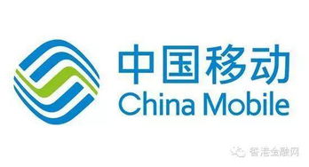 中國移動(dòng)318億重組鐵通，技術(shù)咨詢崗員工待遇成焦點(diǎn)